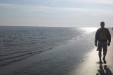 Langs de Waddenzee waar de zeehonden net gelegen hebben