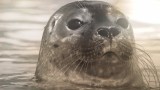 Ook in levende lijfe gezien. Hoe schattig.
