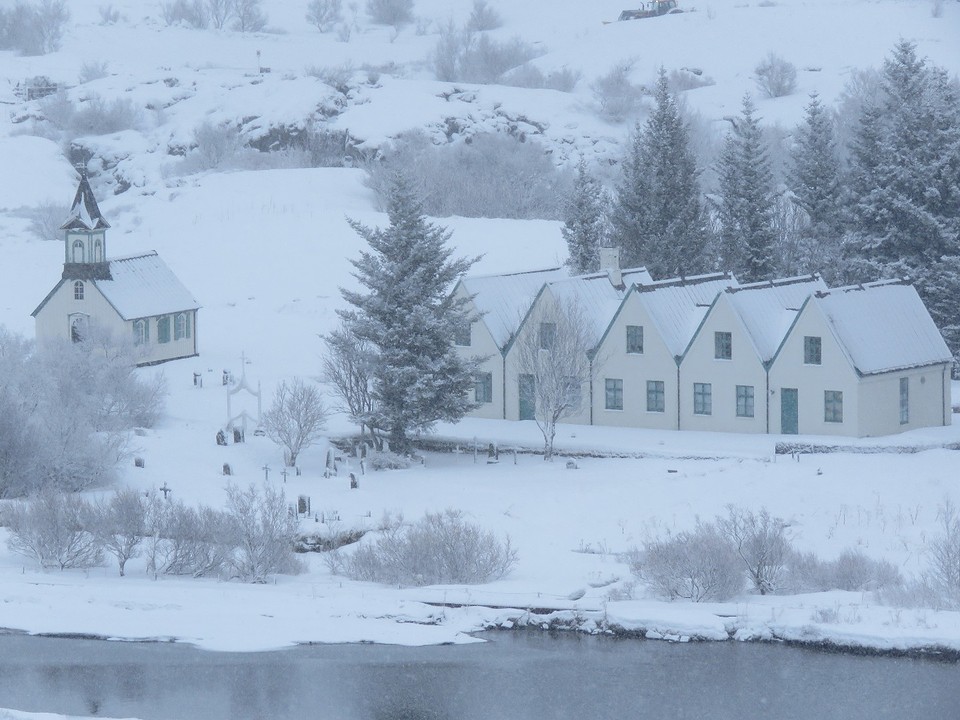 winter wonderland