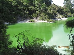 Lake Ngakoro (opa)