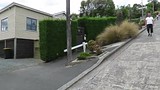 Onderaan Baldwin street, Dunedin