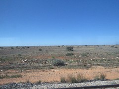 Nullarbor Plain