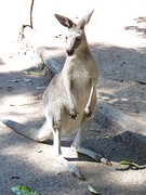 Mijn favoriet in het wildpark