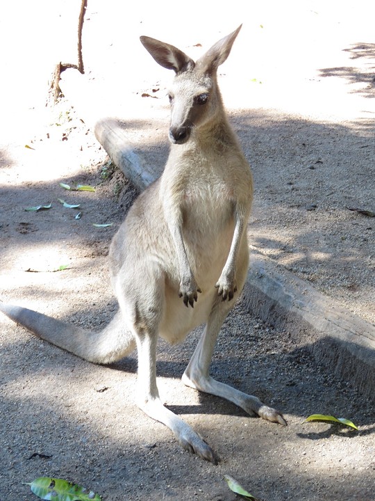 Mijn favoriet in het wildpark