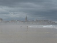 Nevel boven het strand na eb.
