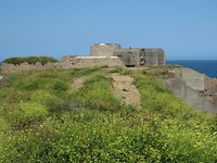 Fort hommet
