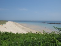 Shell beach