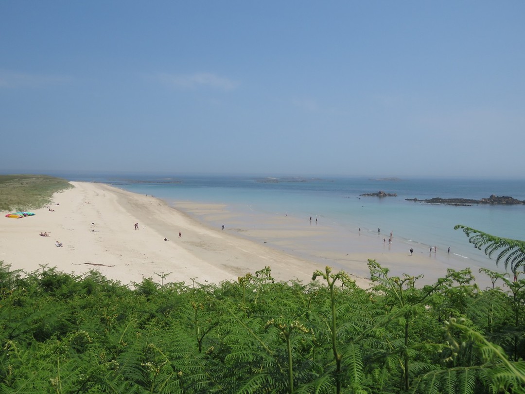 Shell beach