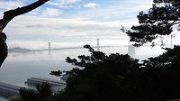 Bay Bridge gehuld in nevel