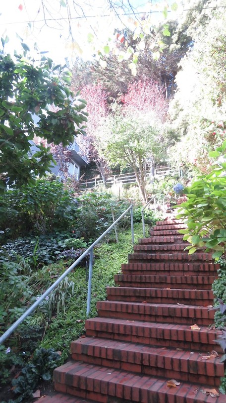 Filmore Steps