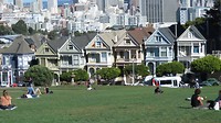 Ooit hadden ze meer kleur deze Painted ladies