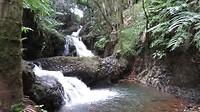 Onomea Falls