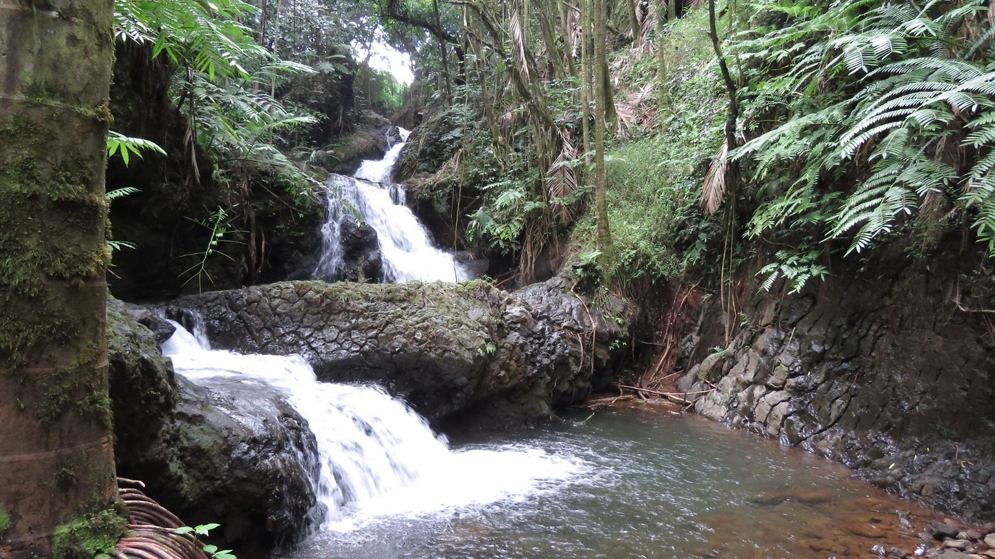 Onomea Falls