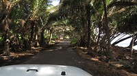 Scenic road 137