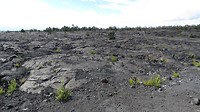Lava langs de Chain of Craters Road van eerdere uitbarstingen