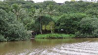 Als je goed kijkt zie je een typisch Hawaiiaans huisje langs het water.