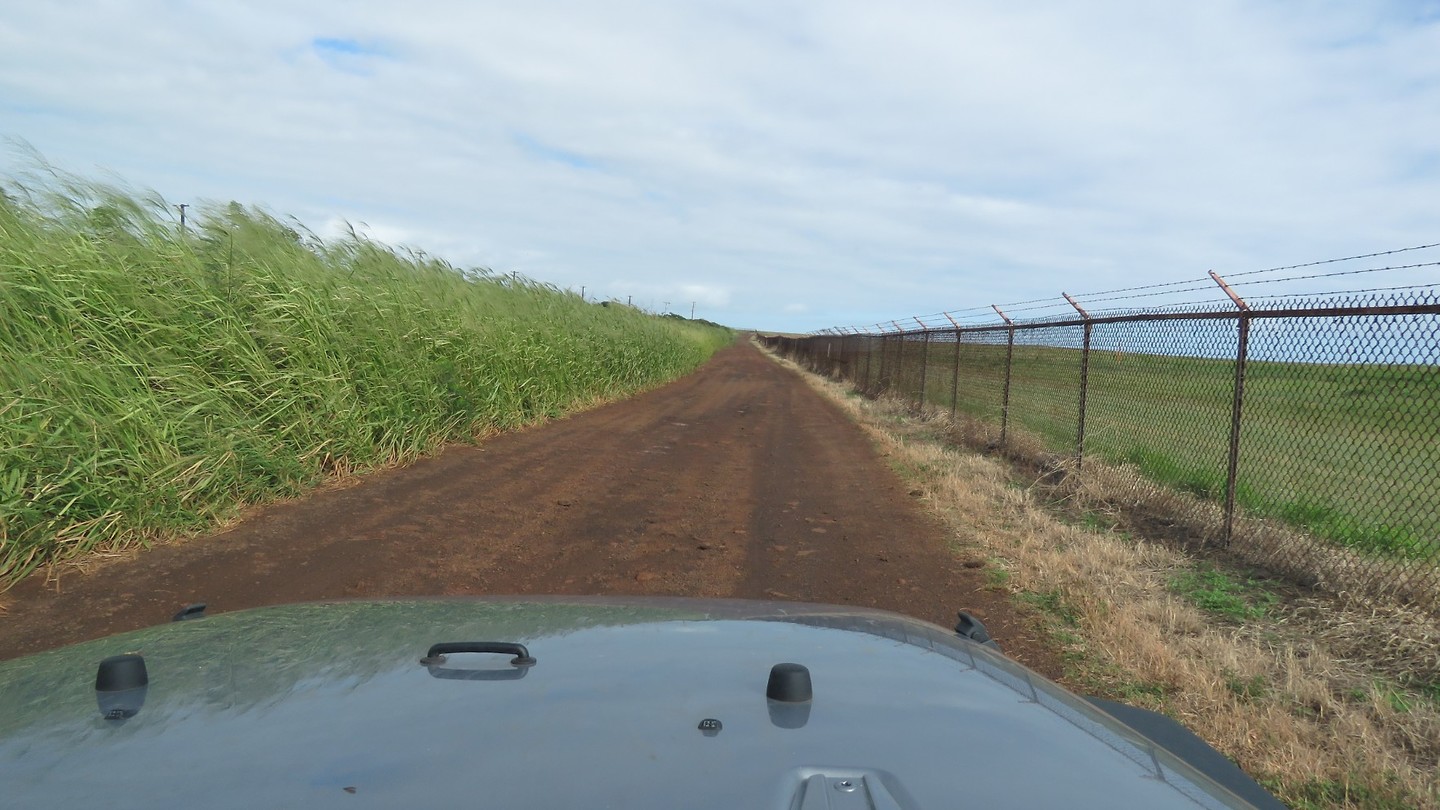 Even off road, geen probleem met onze Jeep