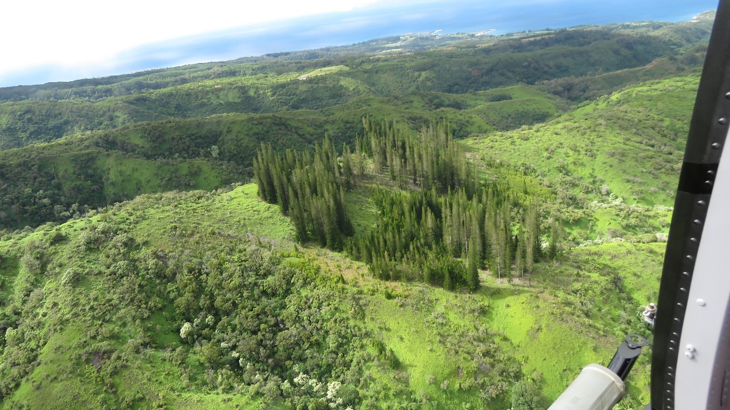 Moloka'i