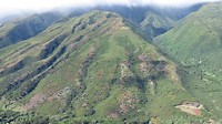 Moloka'i
