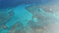 Er ligt een groot rif voor de deur van Maui. Zo mooi om te zien vanuit de lucht