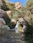 Ein Gedi National Reserve. We krijgen er geen genoeg van.