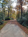 Klaar voor de wandeling door natuurgebied " de Utrecht"..