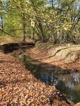 Riviertje de Reusel