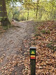 Volg de groene pijl