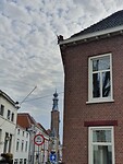 Dit is de Waalwachter die over de Waal heen kijkt