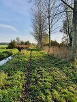 Langs slootjes gelopen