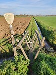Op dit omgeploegd veld lag het vol met spinneraggen