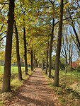 Ook hier weer prachtige lanen