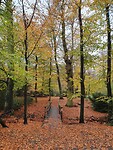 Wandeling Trage Tocht Enschede 1 van 13 km