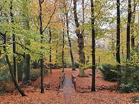 Wandeling Trage Tocht Enschede 1 van 13 km
