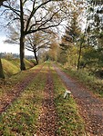Wandeling Trage Tocht Enschede 1 van 13 km