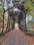 Wandeling Trage Tocht Enschede 1 van 13 km