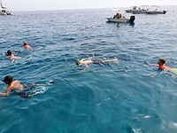Frank, in het midden aan het snorkelen