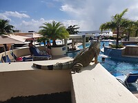 De Pool master