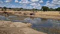 Tarangire National Park