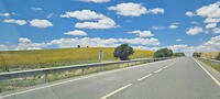 Onderweg Zonnebloemvelden