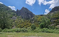 Picos de Europa