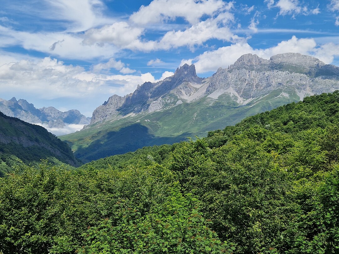 Picos de Europa