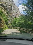 Picos de Europa