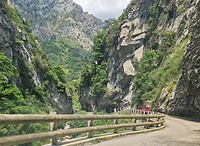 Picos de Europa