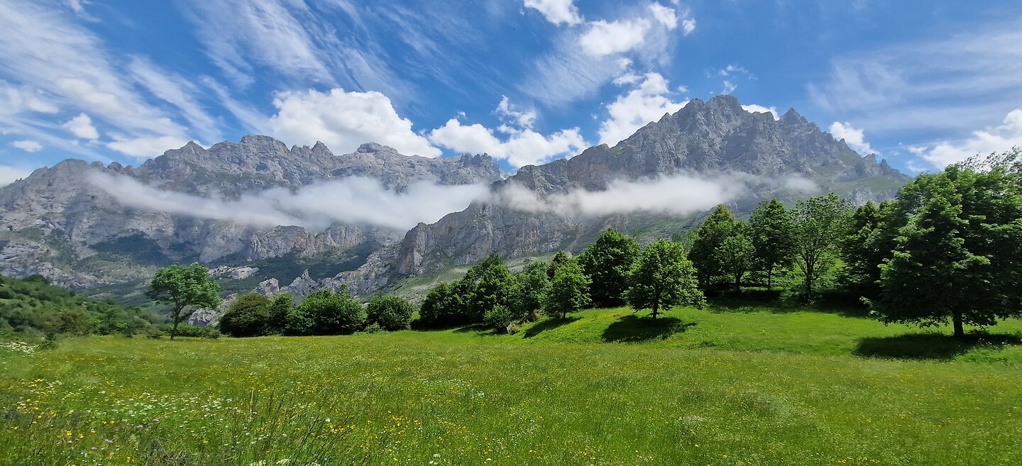 Picos de Europa