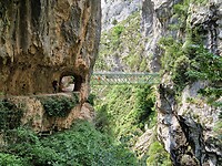 Ruta del Cares