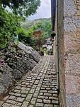 Bulnes