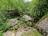 Bulnes