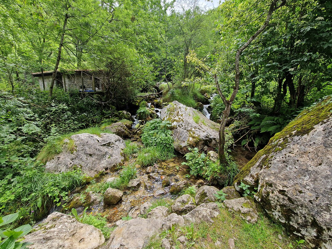 Bulnes