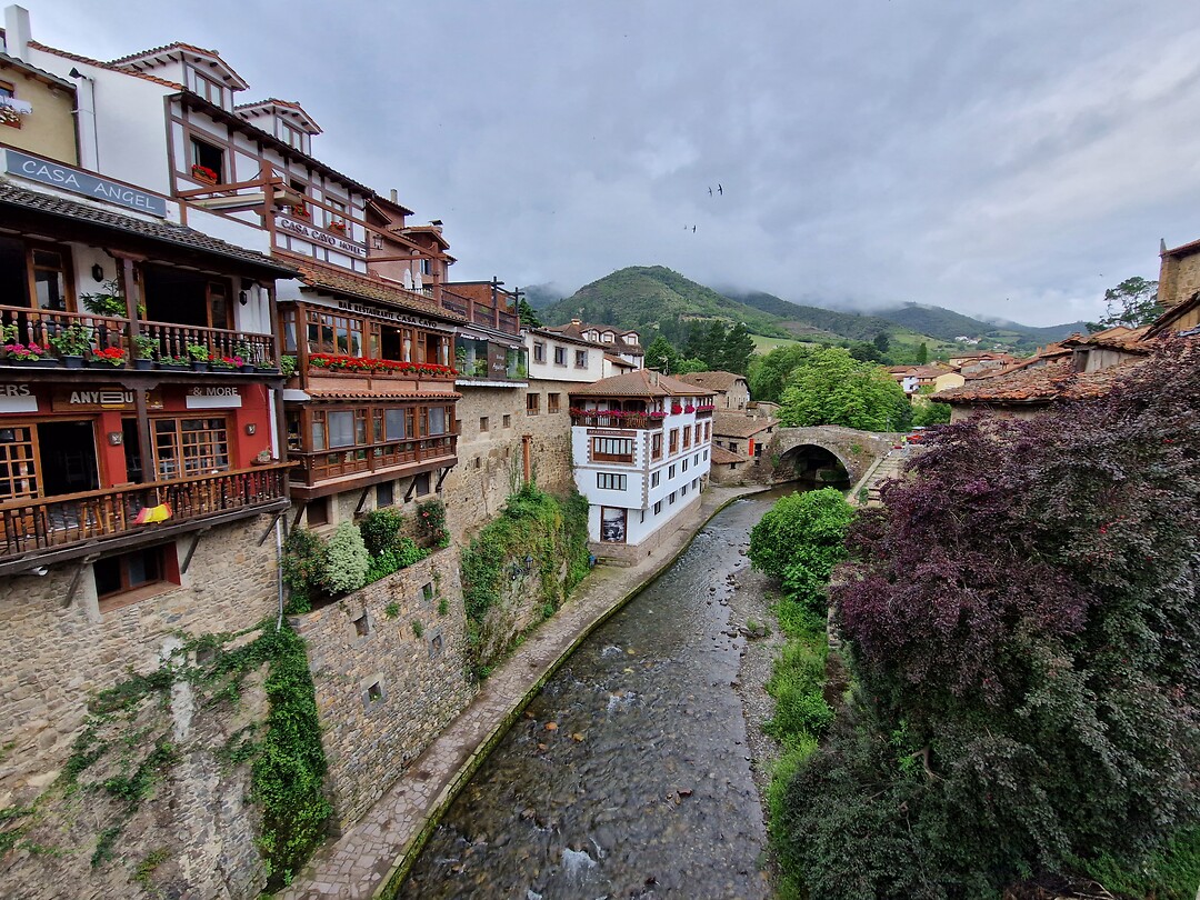 Potes